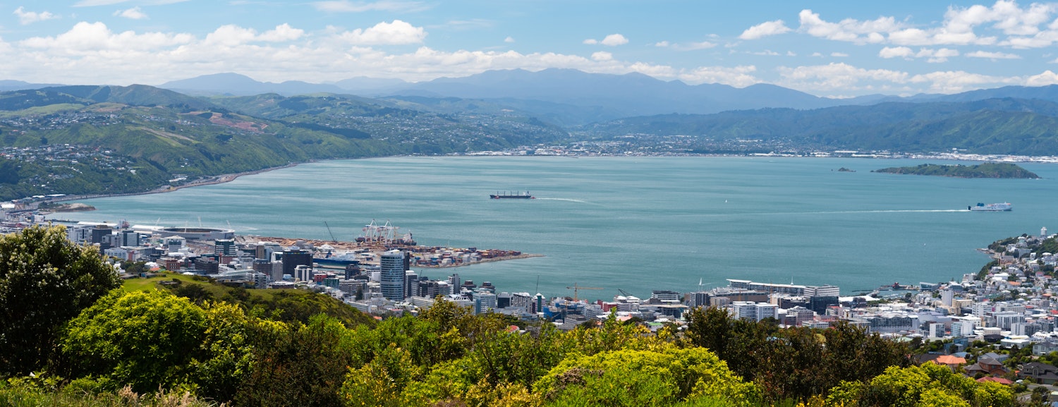 Wellington | The Property Group NZ