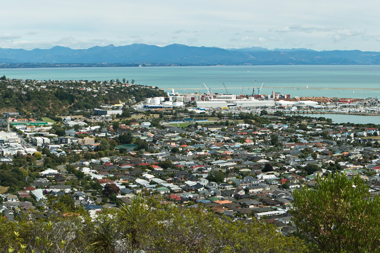 Nelson | The Property Group NZ