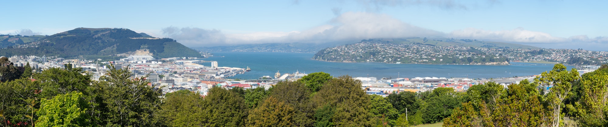 Dunedin | The Property Group NZ