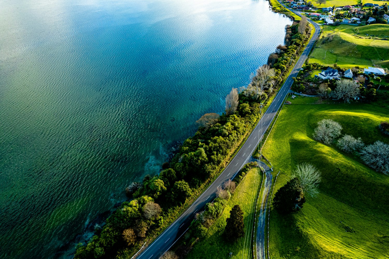 Rotorua lake landscape