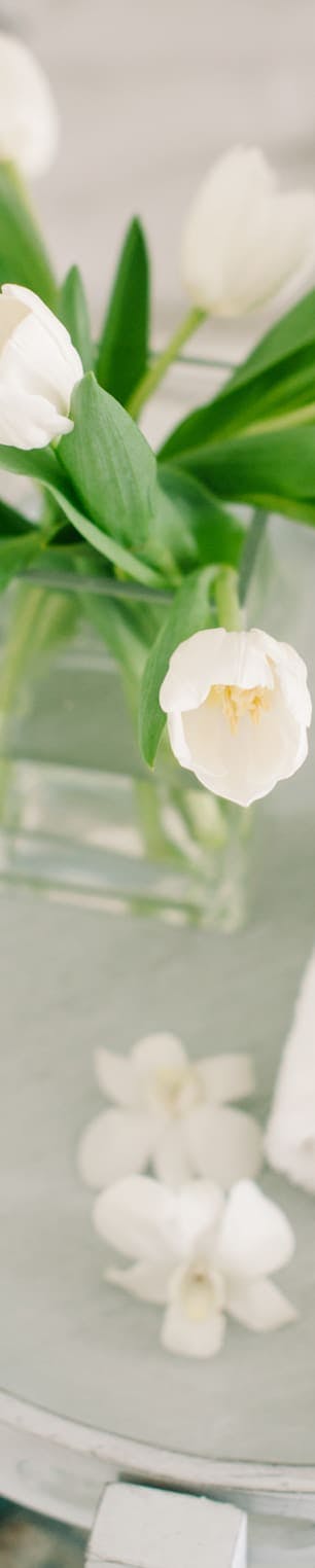 zoomed up image of white flowers