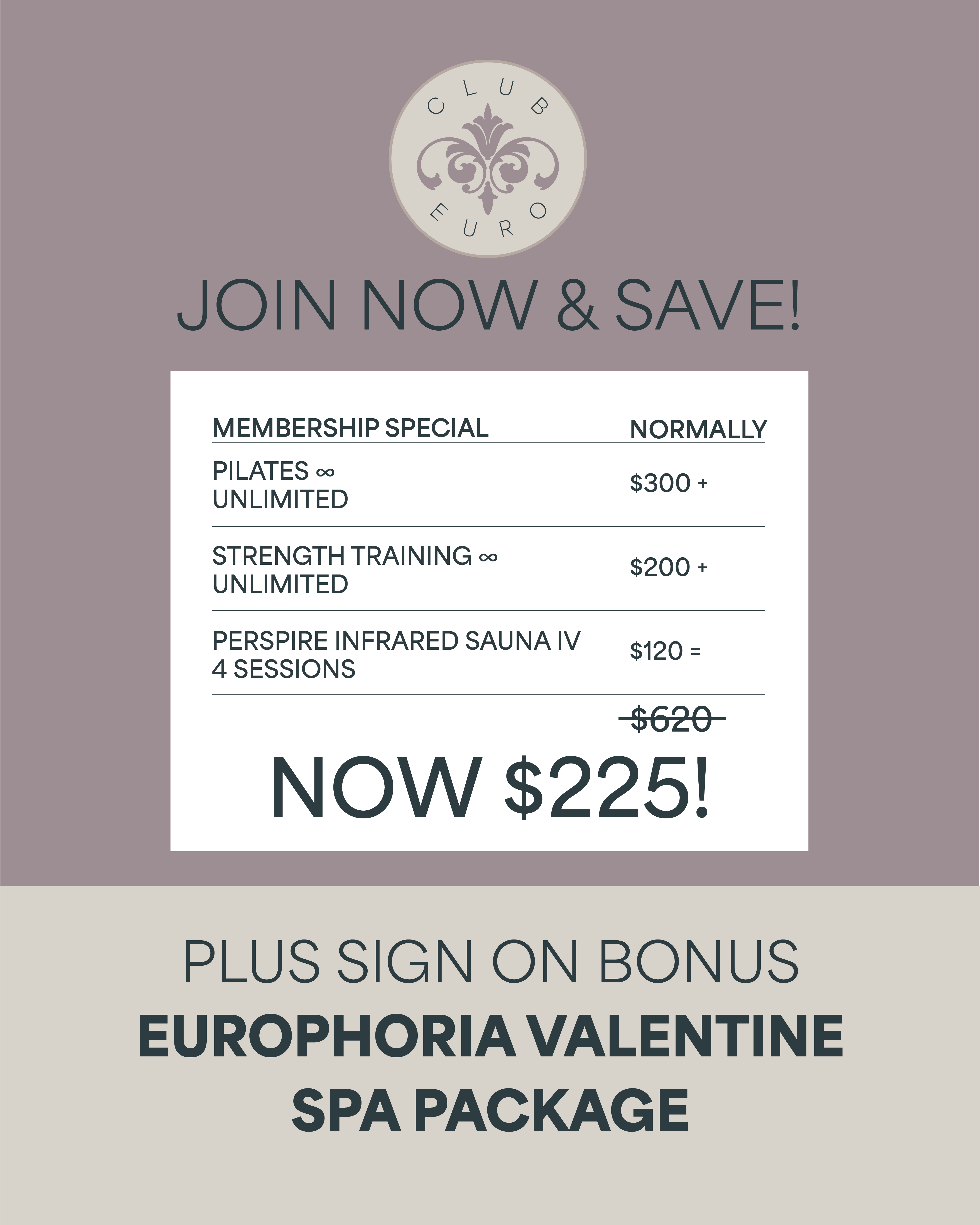 club euro flyer club euro flyer