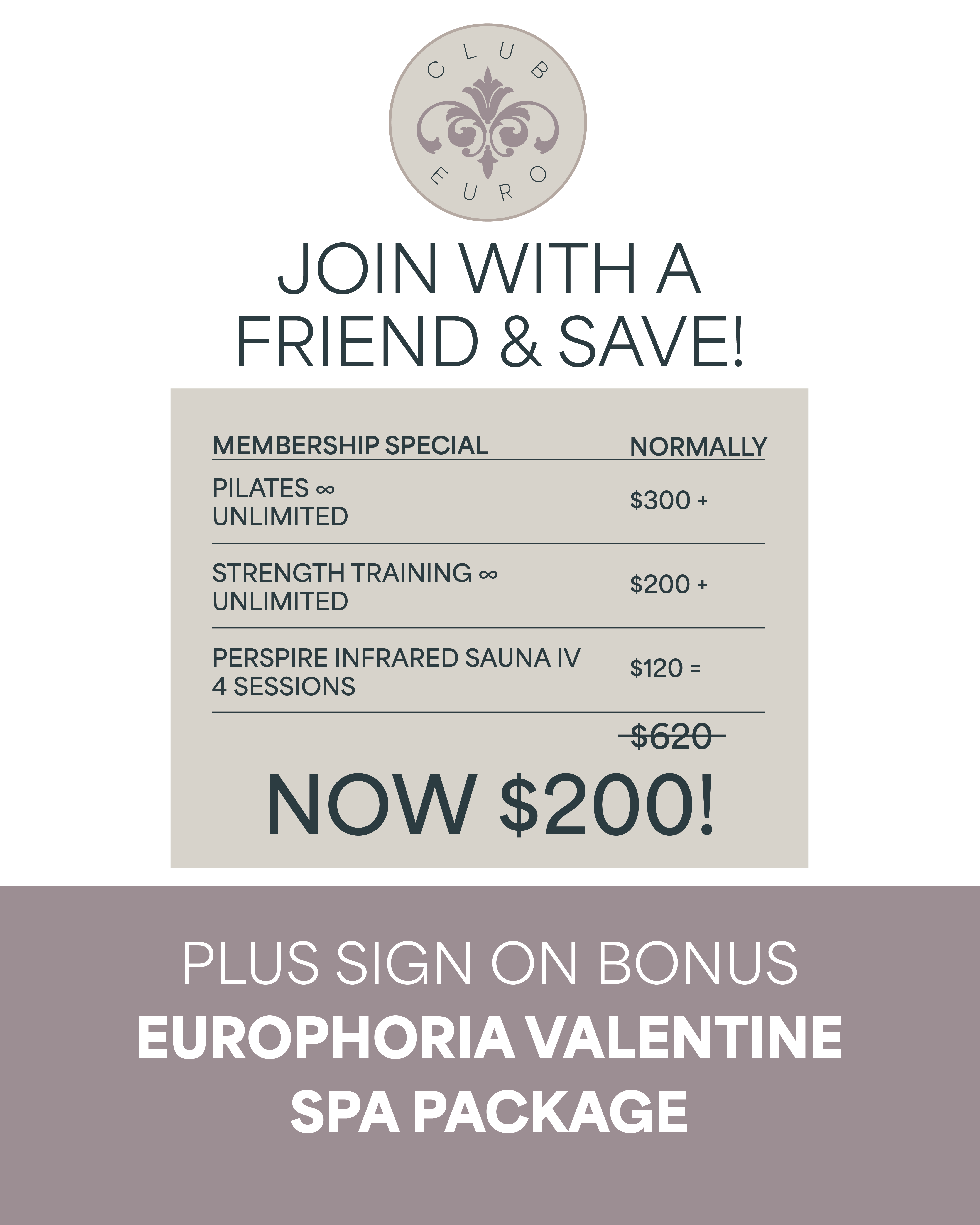 club euro flyer club euro flyer