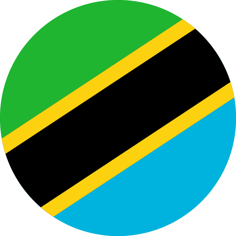 Tanzania flag