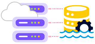Raw Data Access