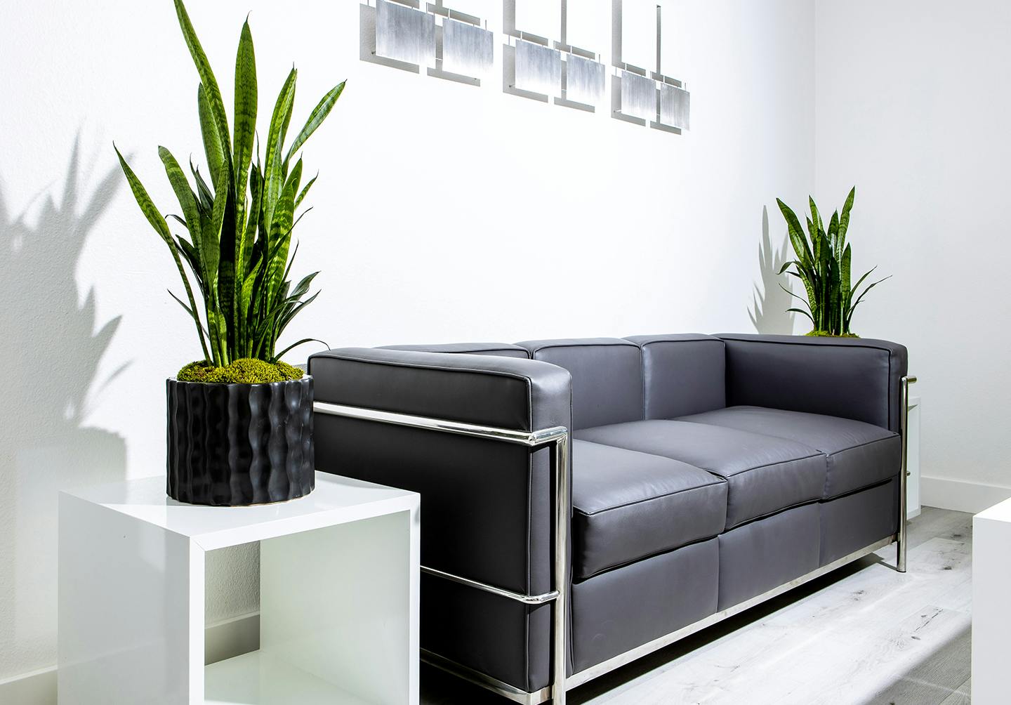 couch in reception area