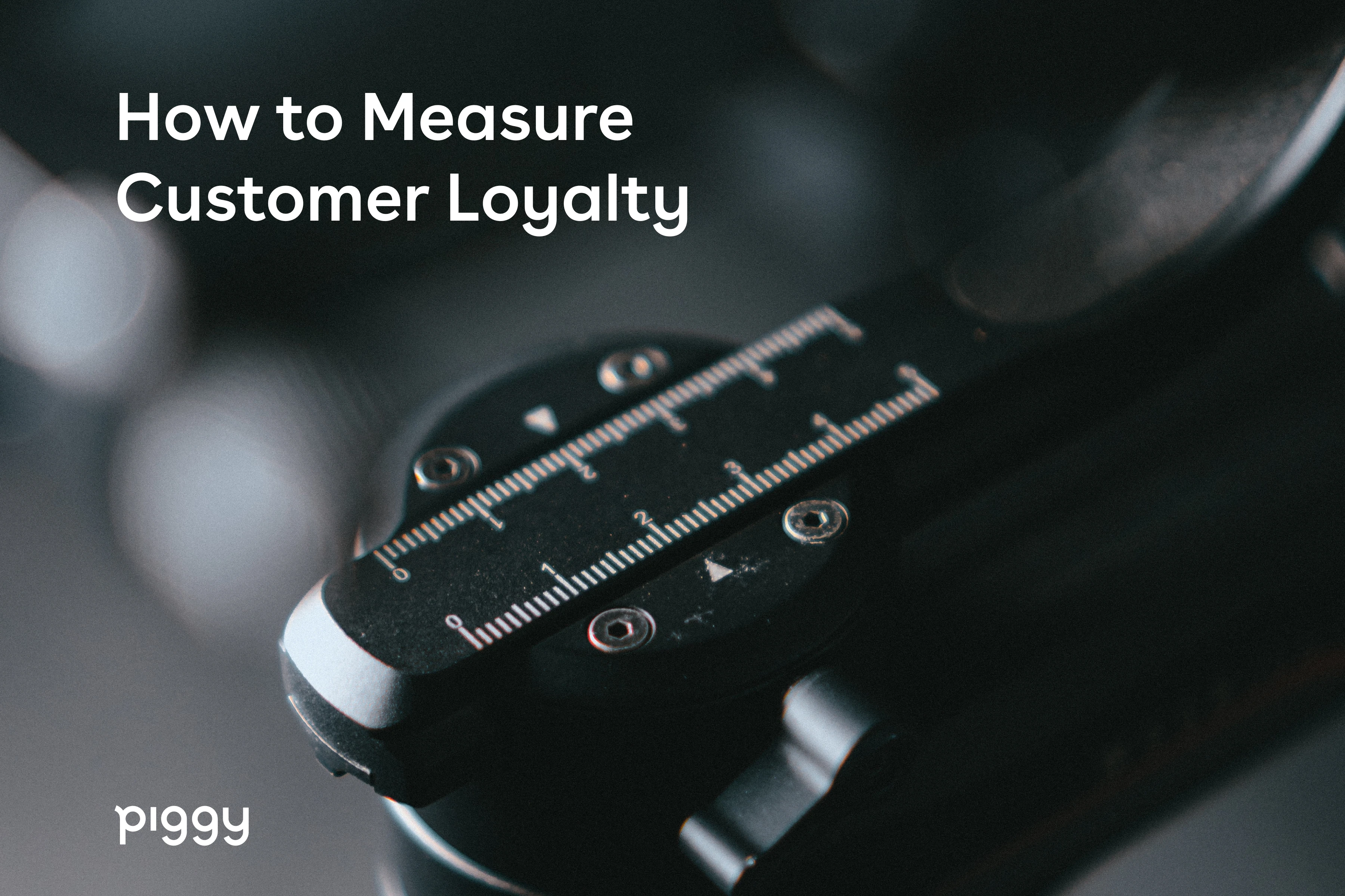 measure-customer-loyalty