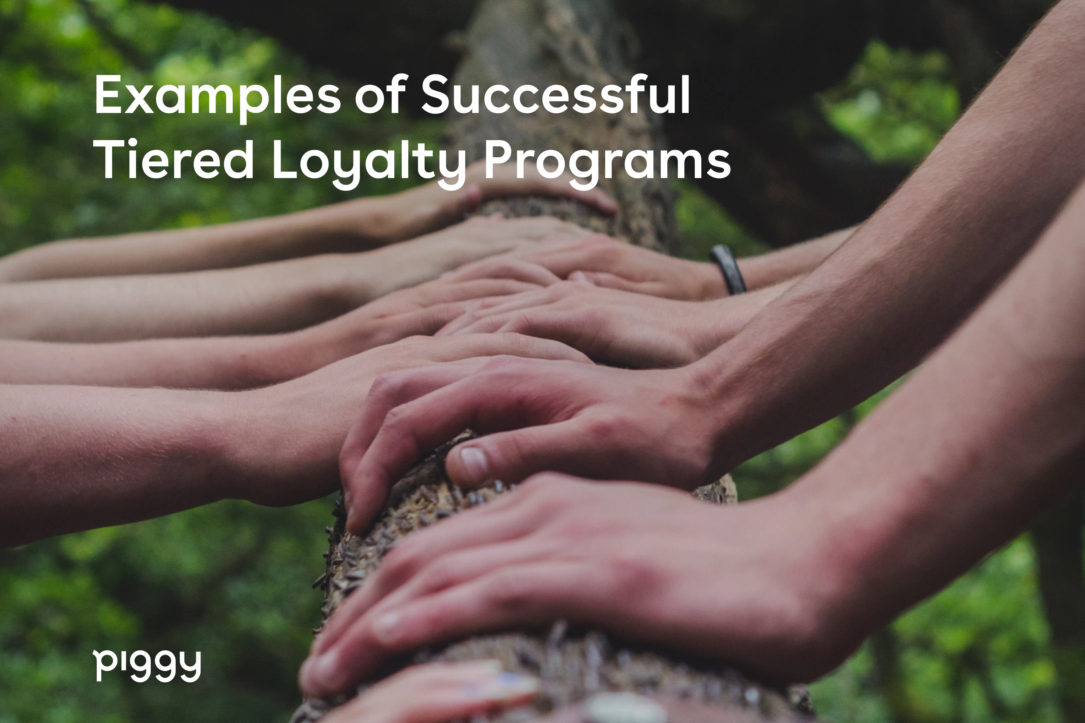 examples-tiered-loyalty-programs