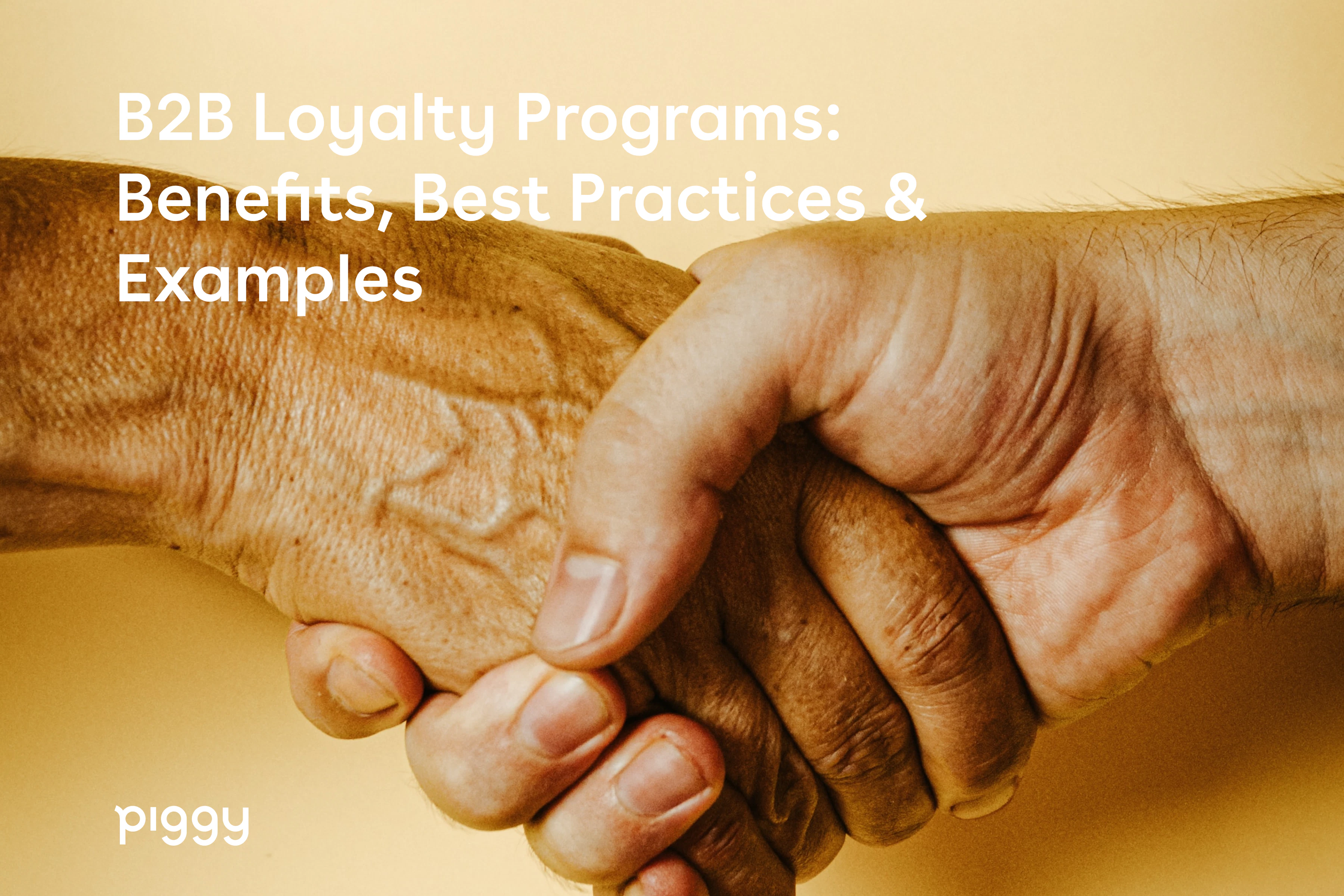 b2b-loyalty-programs