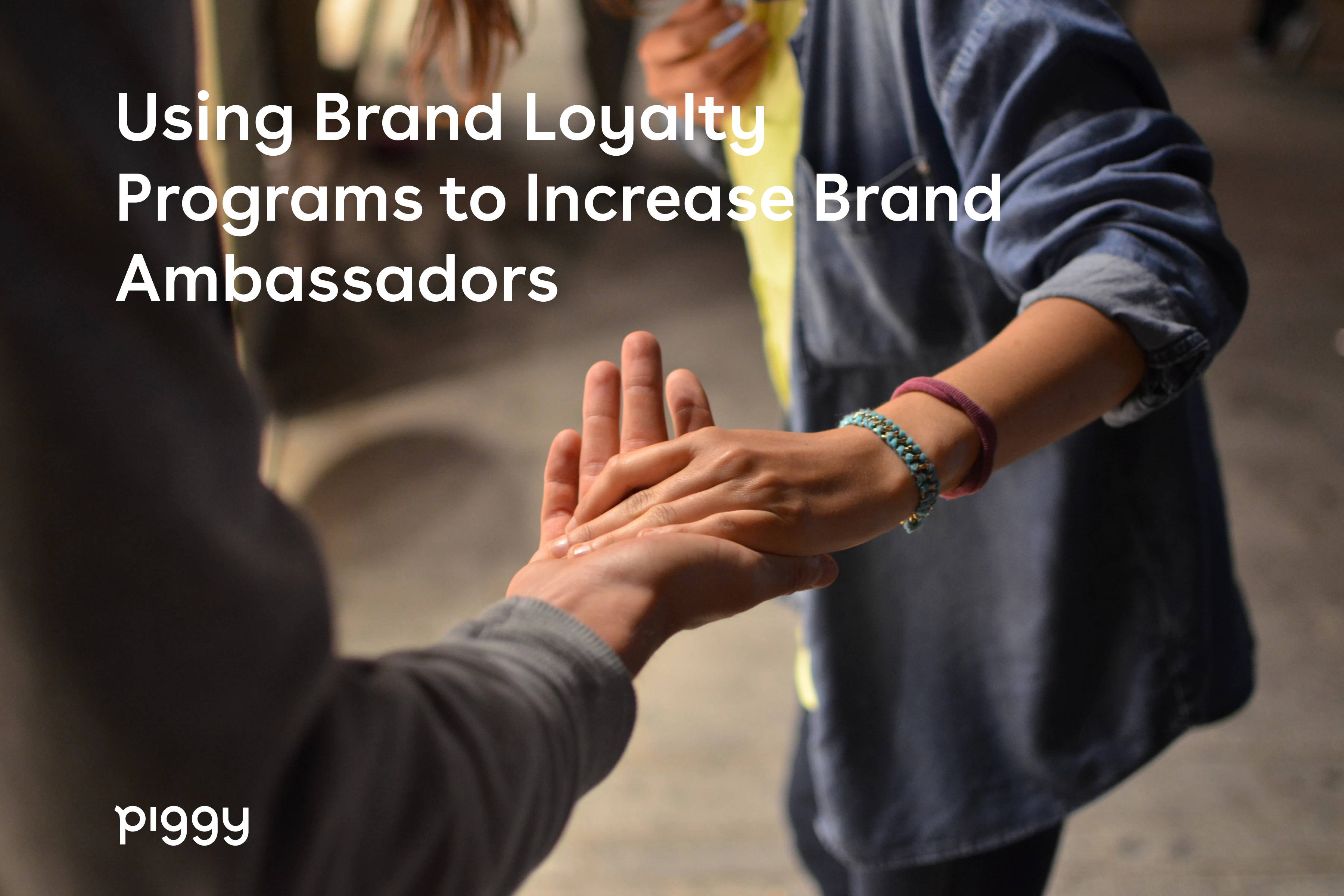 brand-loyalty-ambassadors