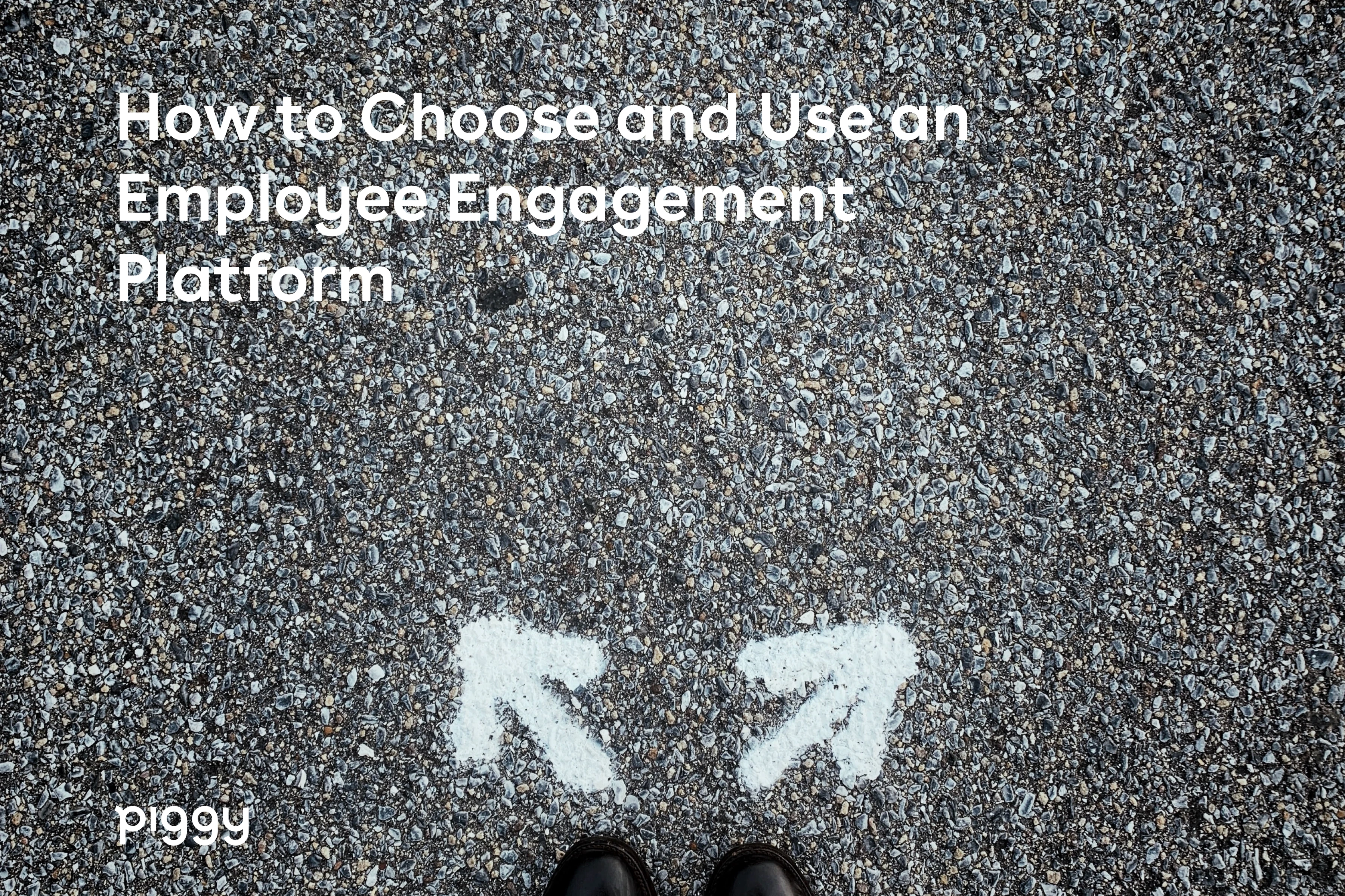 employee-engagement-platform