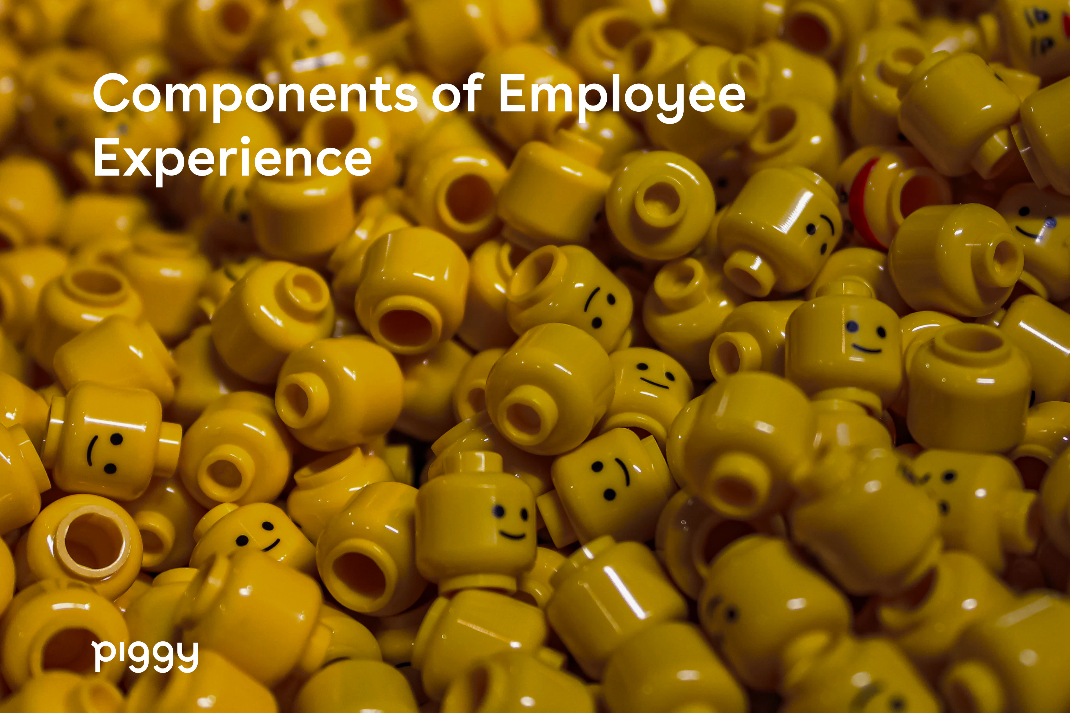 employee-experience-components