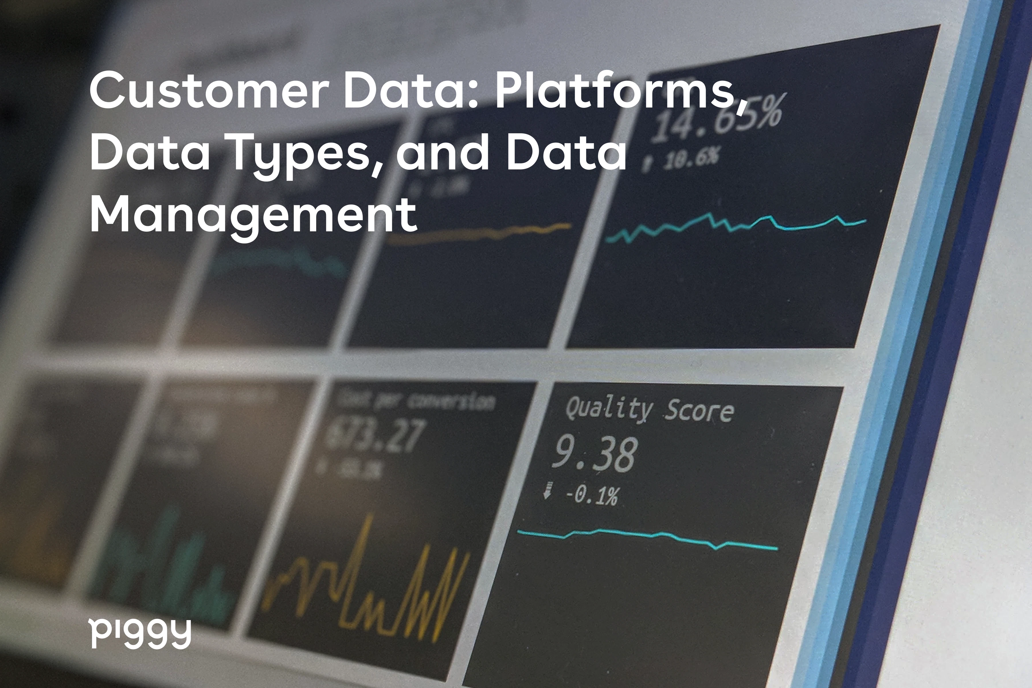 customer-data-platform