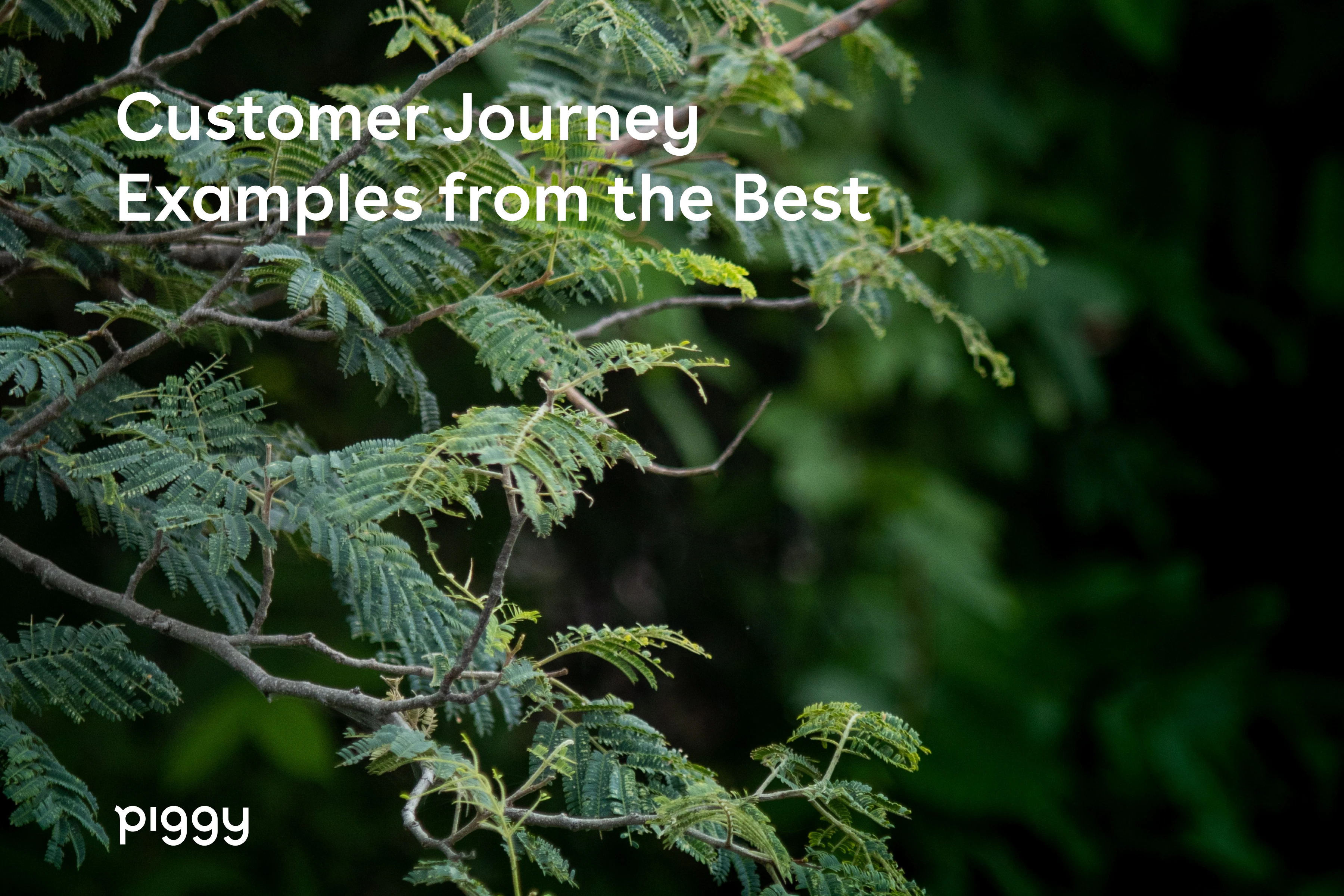 customer-journey-examples