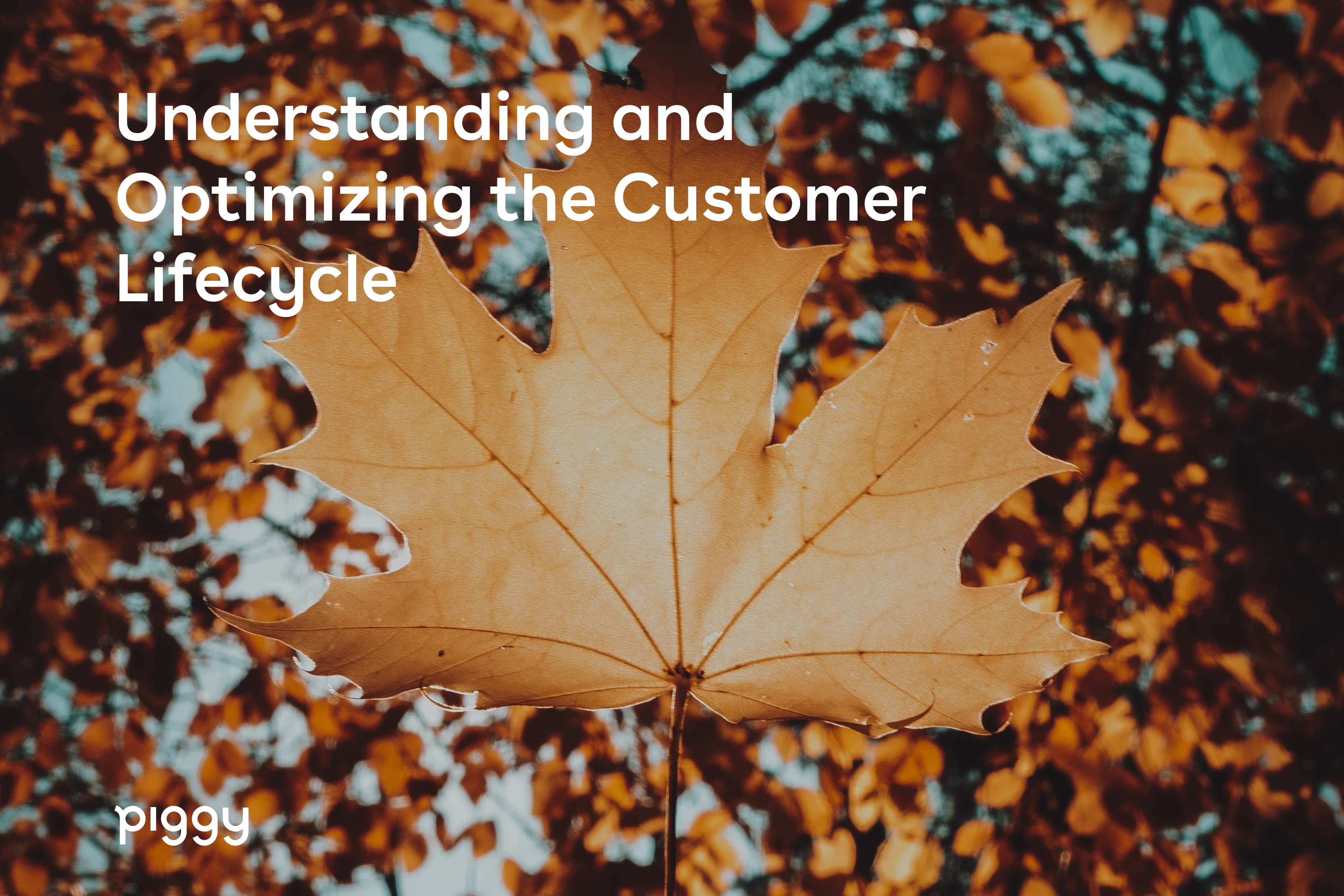 customer-lifecycle-title-image