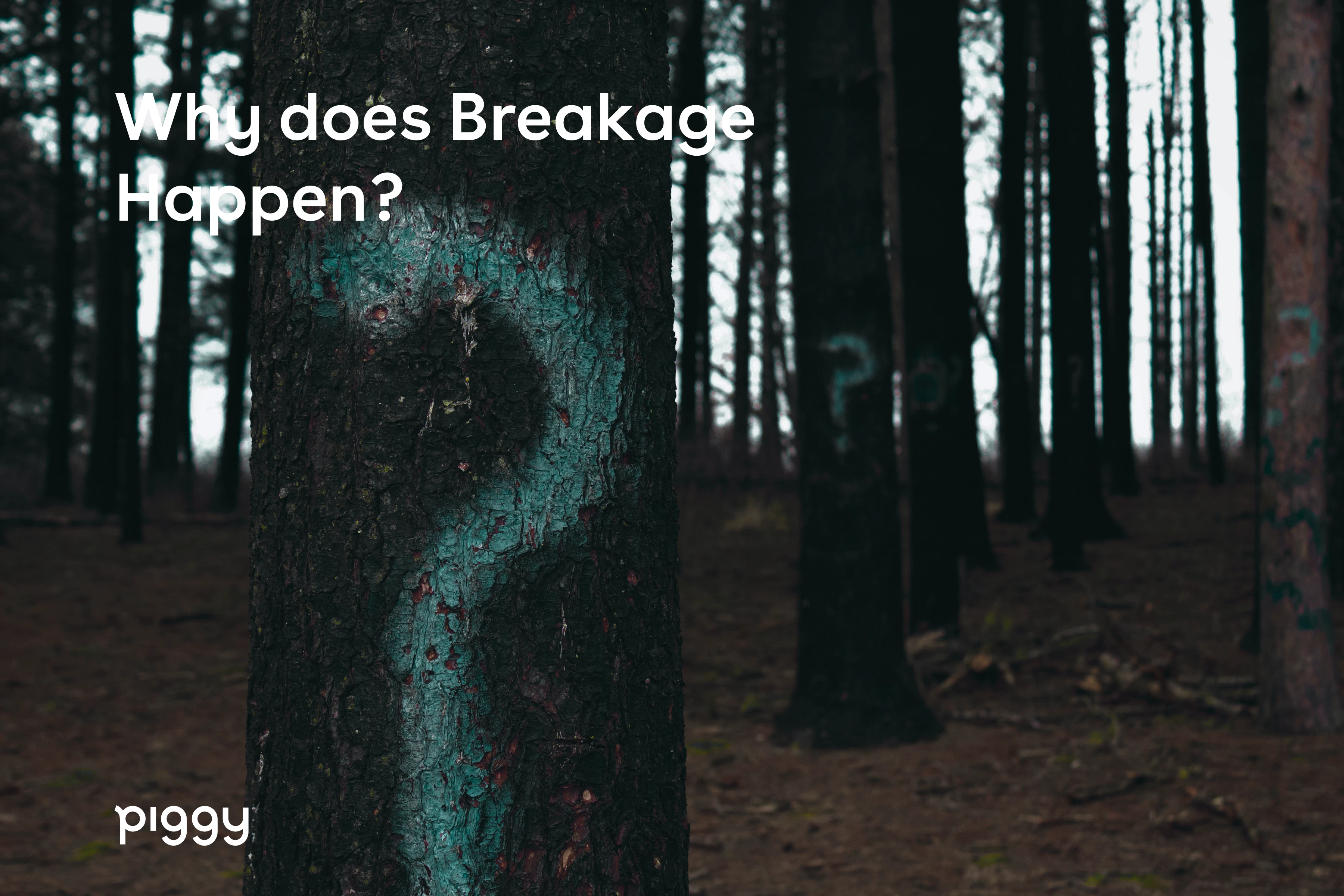 why-breakage-happens