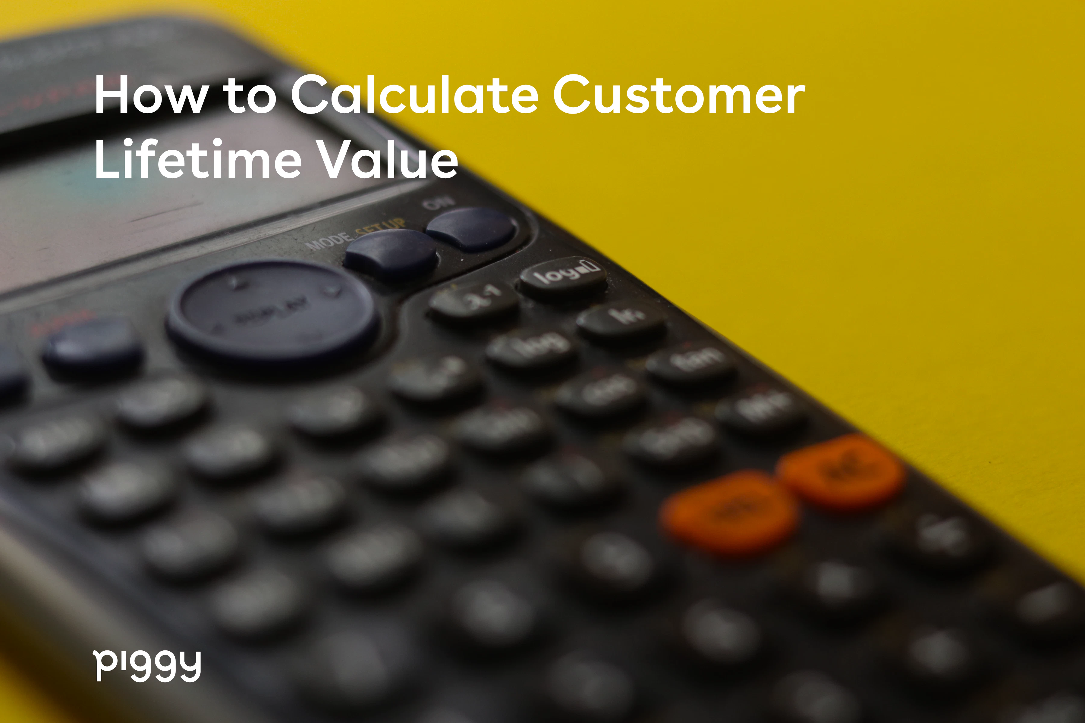 calculate-customer-lifetime-value