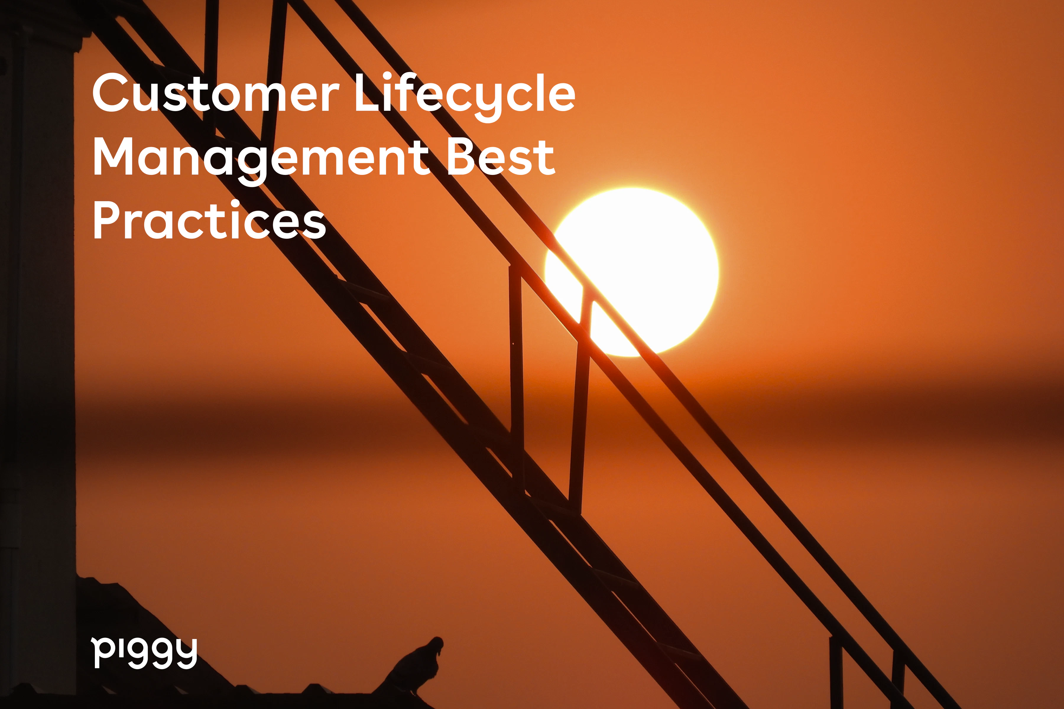 customer-lifecycle-management-best-practices