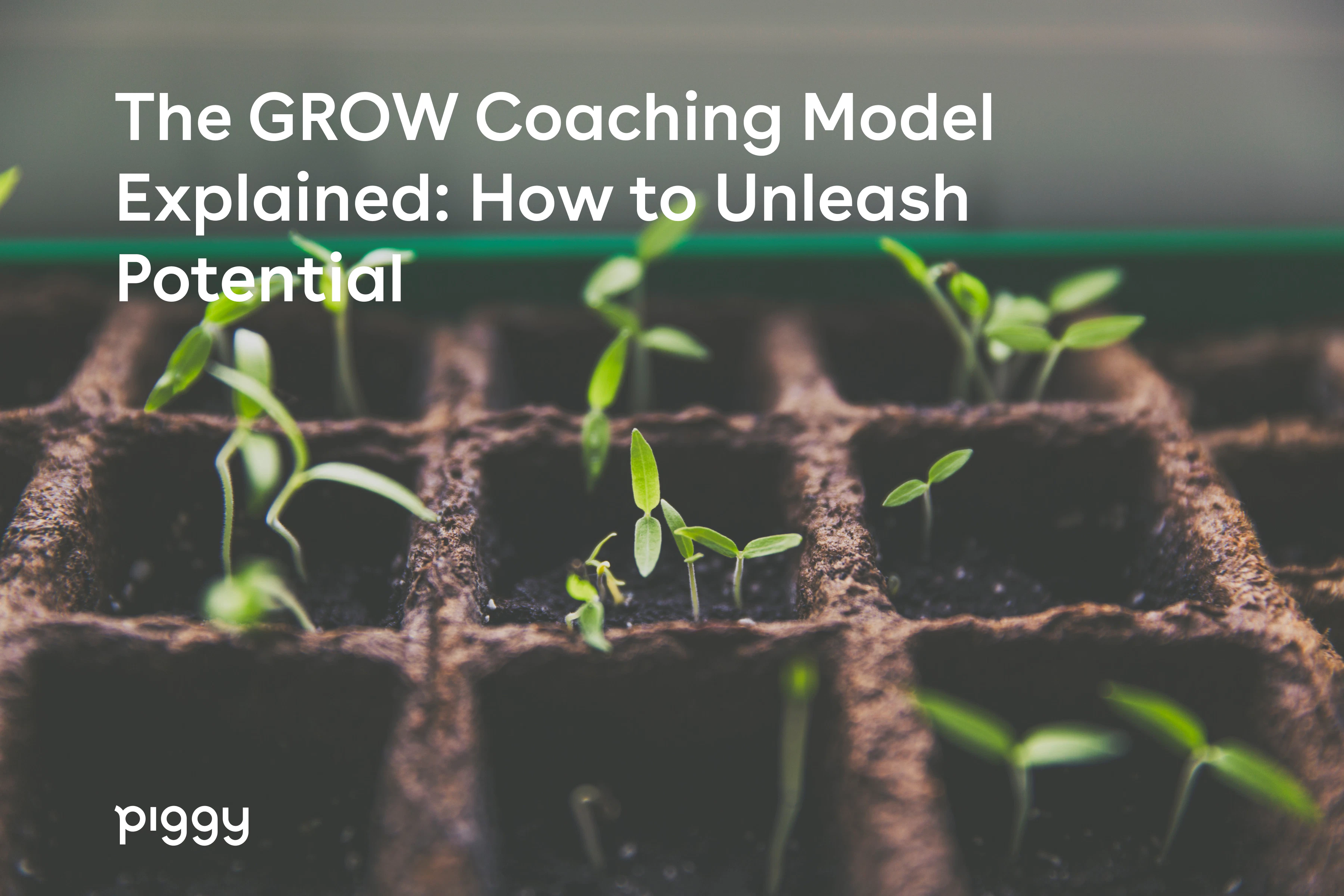GROW-coaching-model
