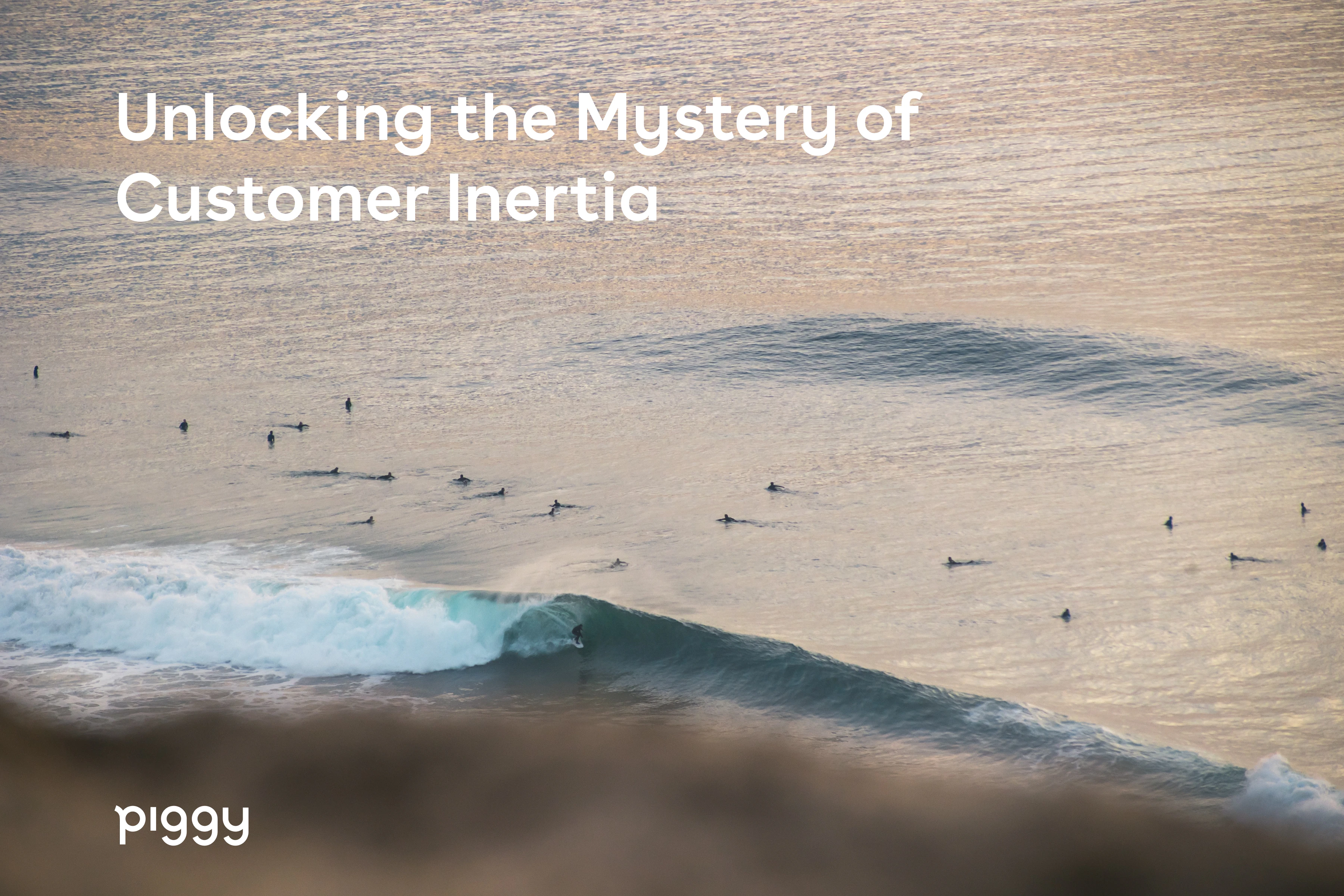 customer inertia