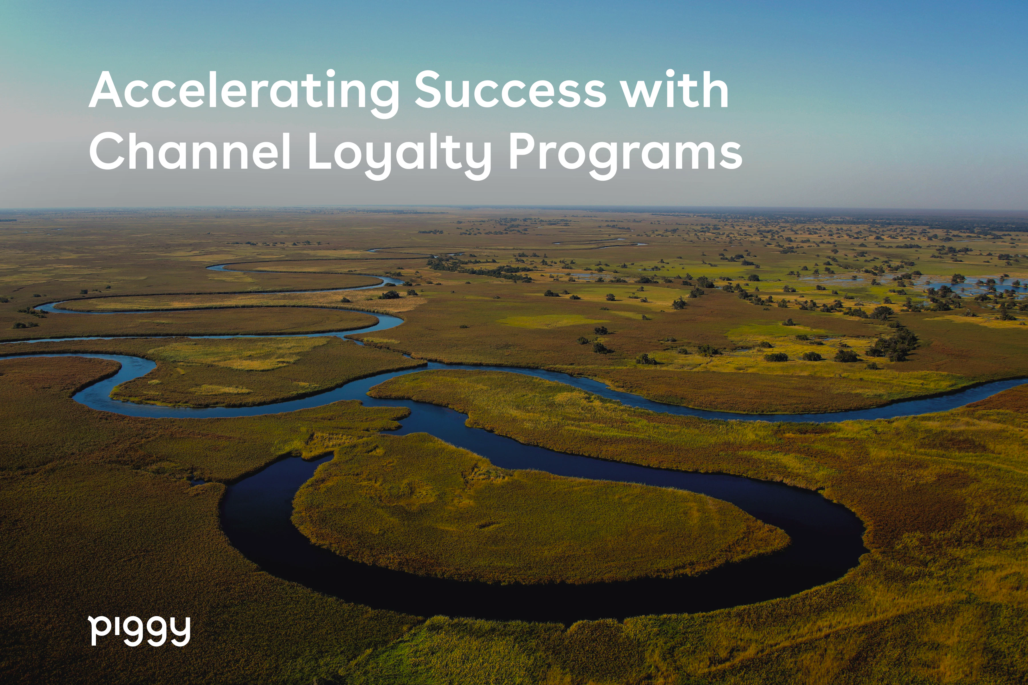 channel loyalty programs