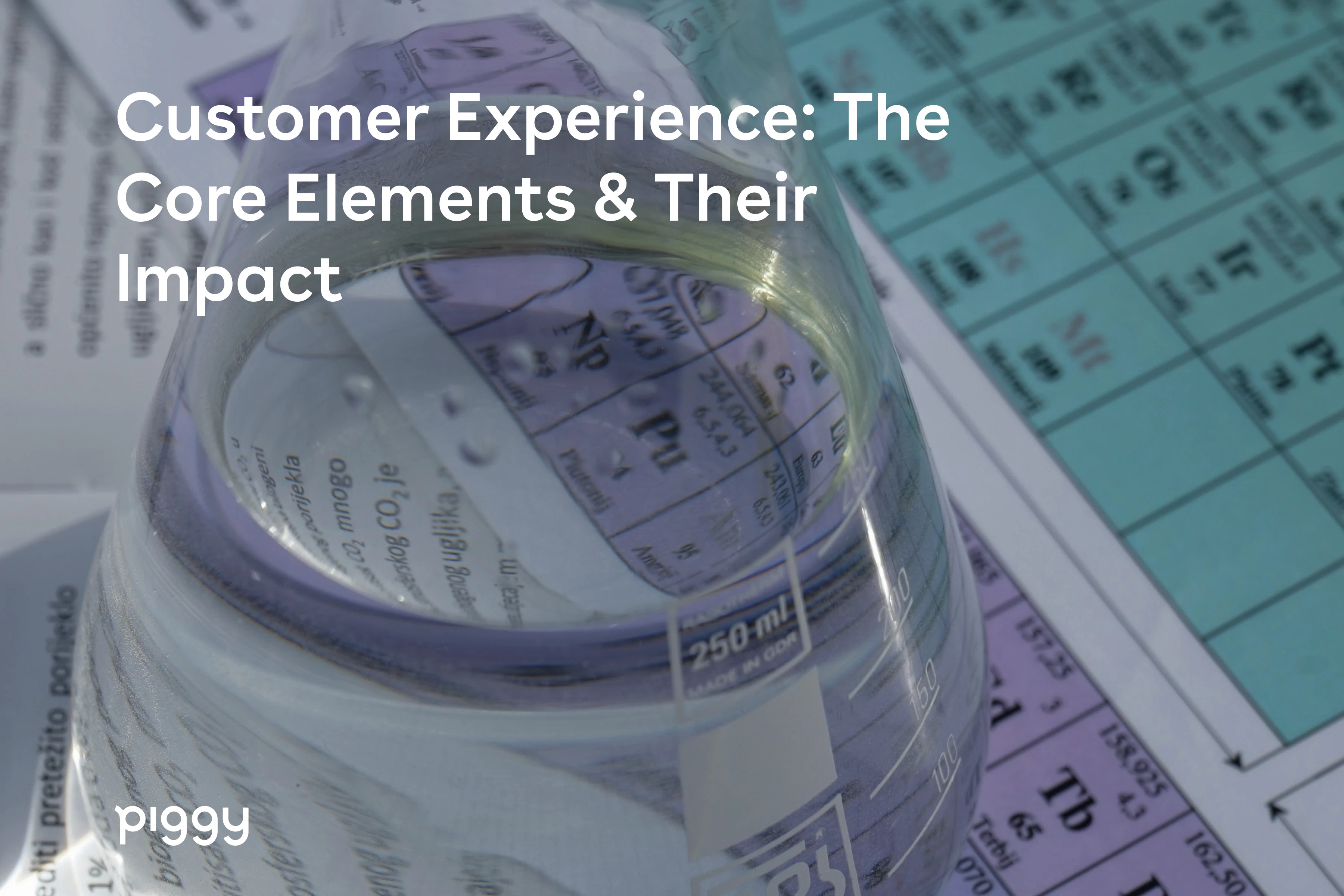 elements of customer experience