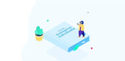 entreprise individuelle le guide cover