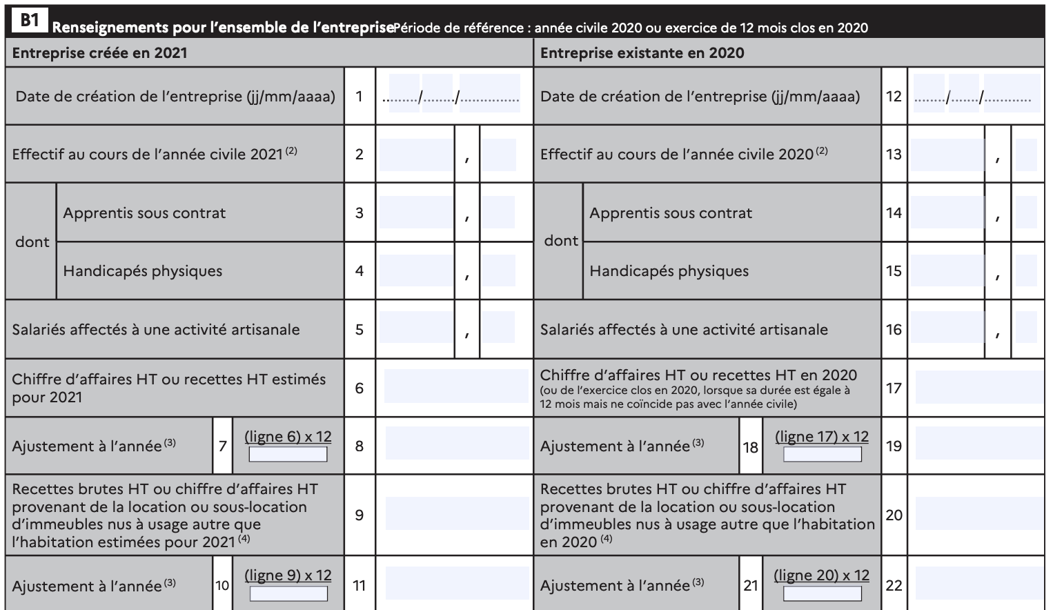 Formulaire CFE 2021 : Cadre B1 - Renseignements pour l’ensemble de l’entreprise