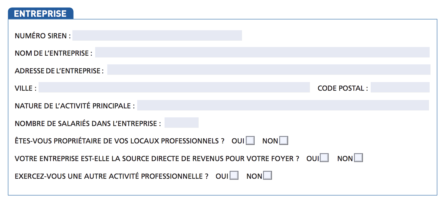 Formulaire aide financière exceptionnelle : partie "Entreprise"