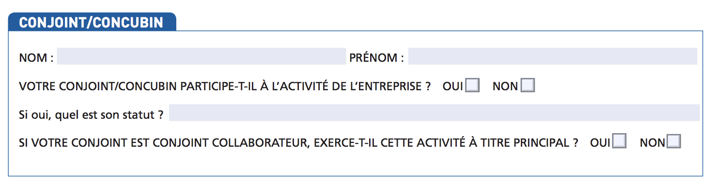 Formulaire aide financière exceptionnelle : partie "Conjoint / concubin"