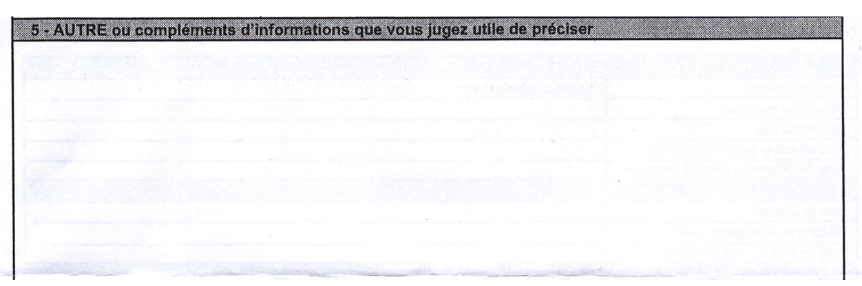 Questionnaire CFE : autre