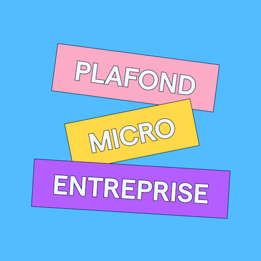 Quels sont les plafonds de chiffres d'affaires en micro-entreprise ?