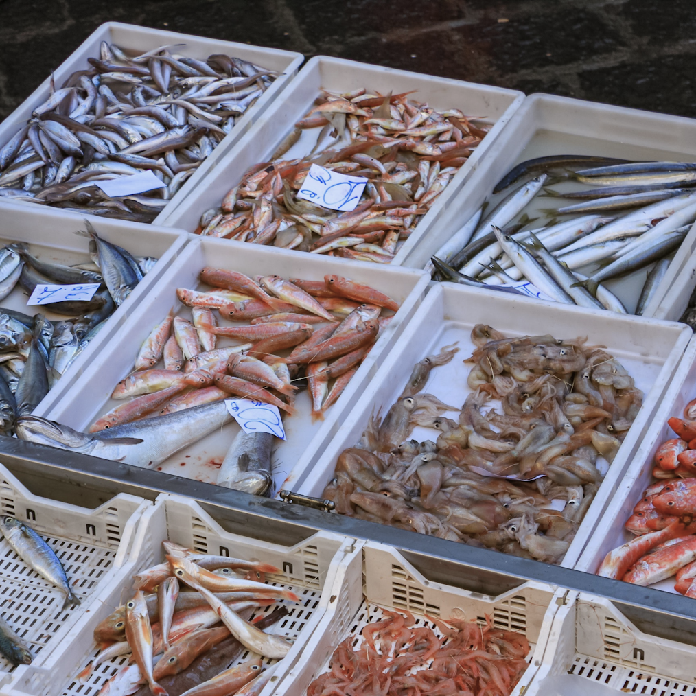 metier-ouvrir-poissonerie
