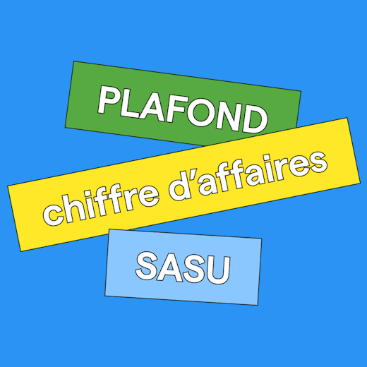 Quels sont les plafonds de chiffre d'affaires en SASU ?