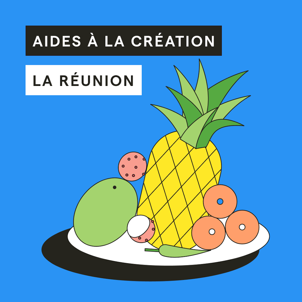 aide-creation-entreprise-reunion