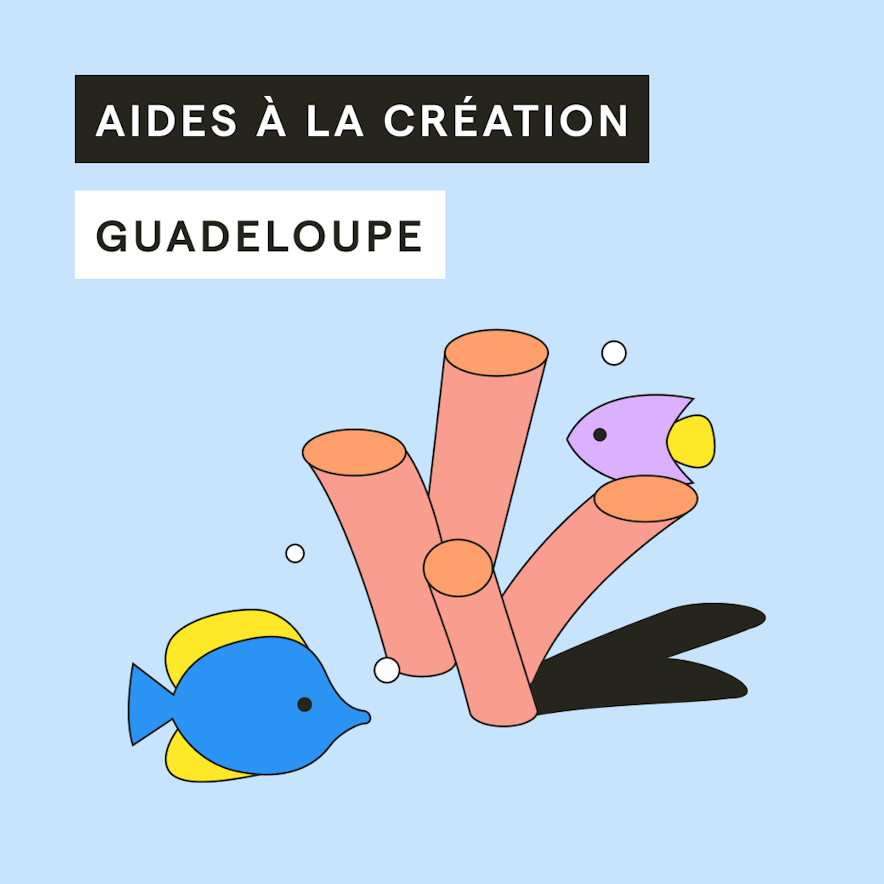 aide-creation-entreprise-guadeloupe