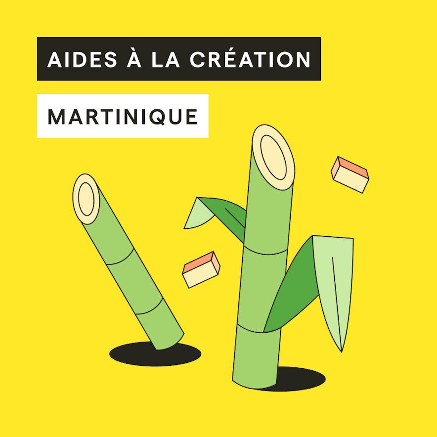 aide-creation-martinique