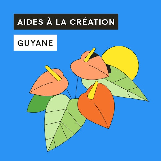 aide-creation-guyane