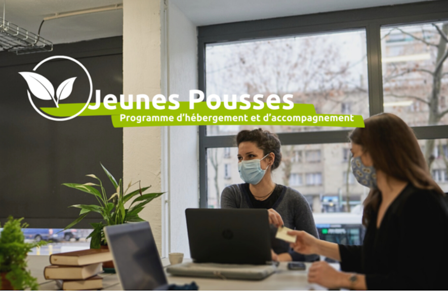 programme-incubation-jeunes-pousses