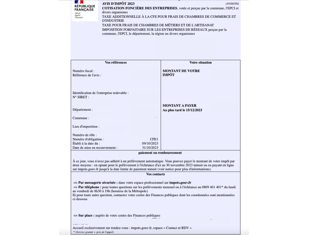 avis-cfe-exemple