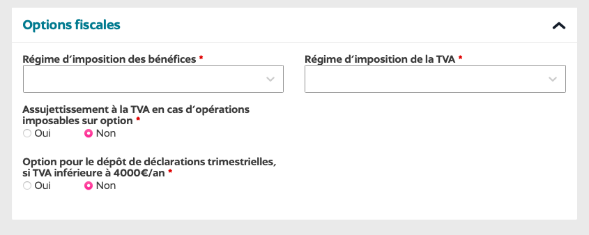 guichet-unique-option-fiscale-eurl