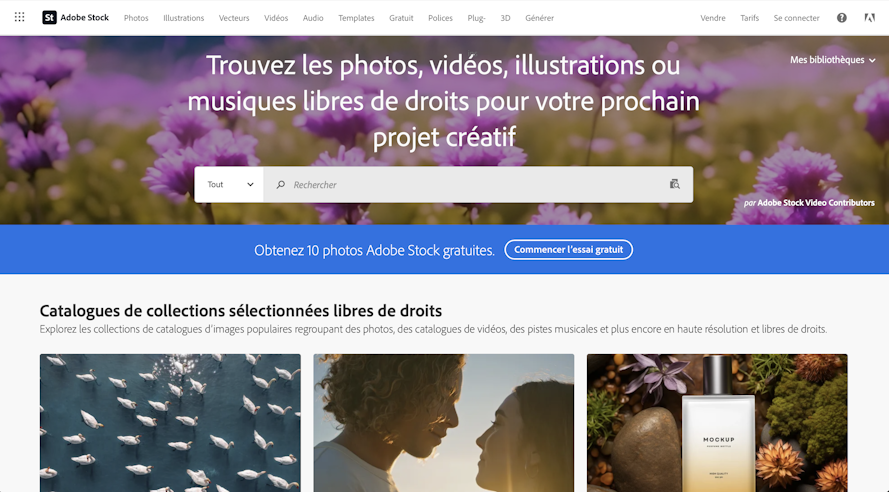 banque-images-Adobe-Stock