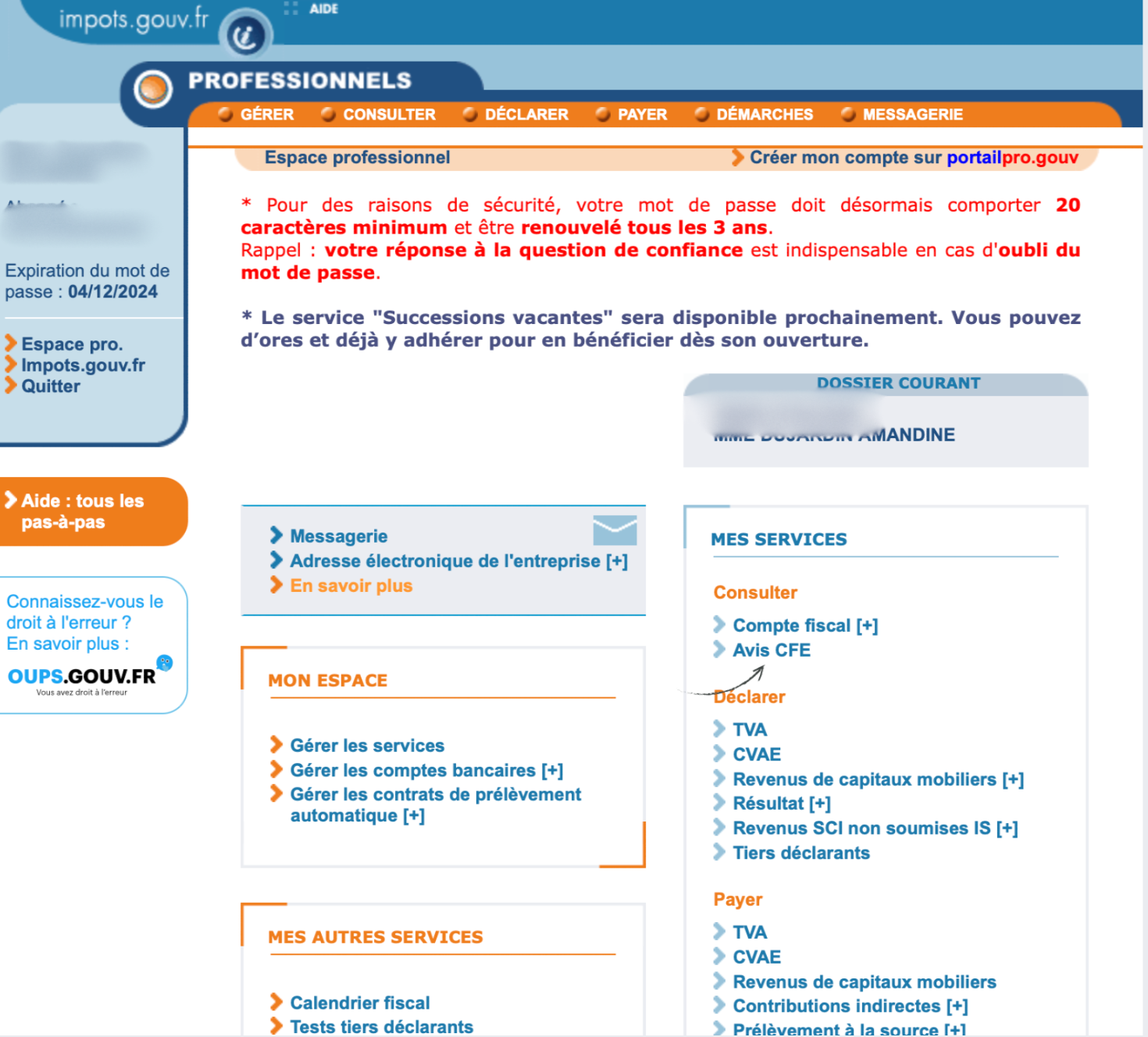 cfe-site-professionnel-impots