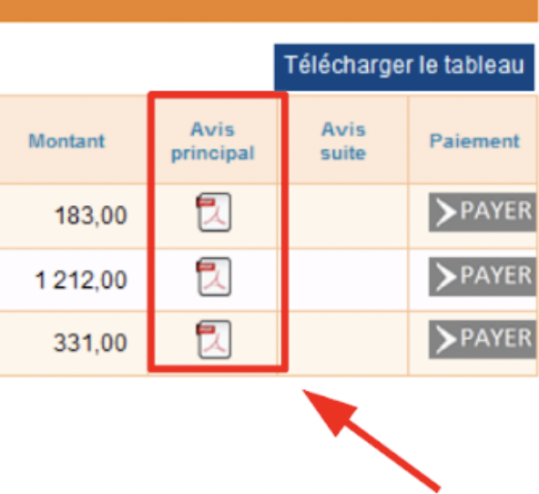 case-payer