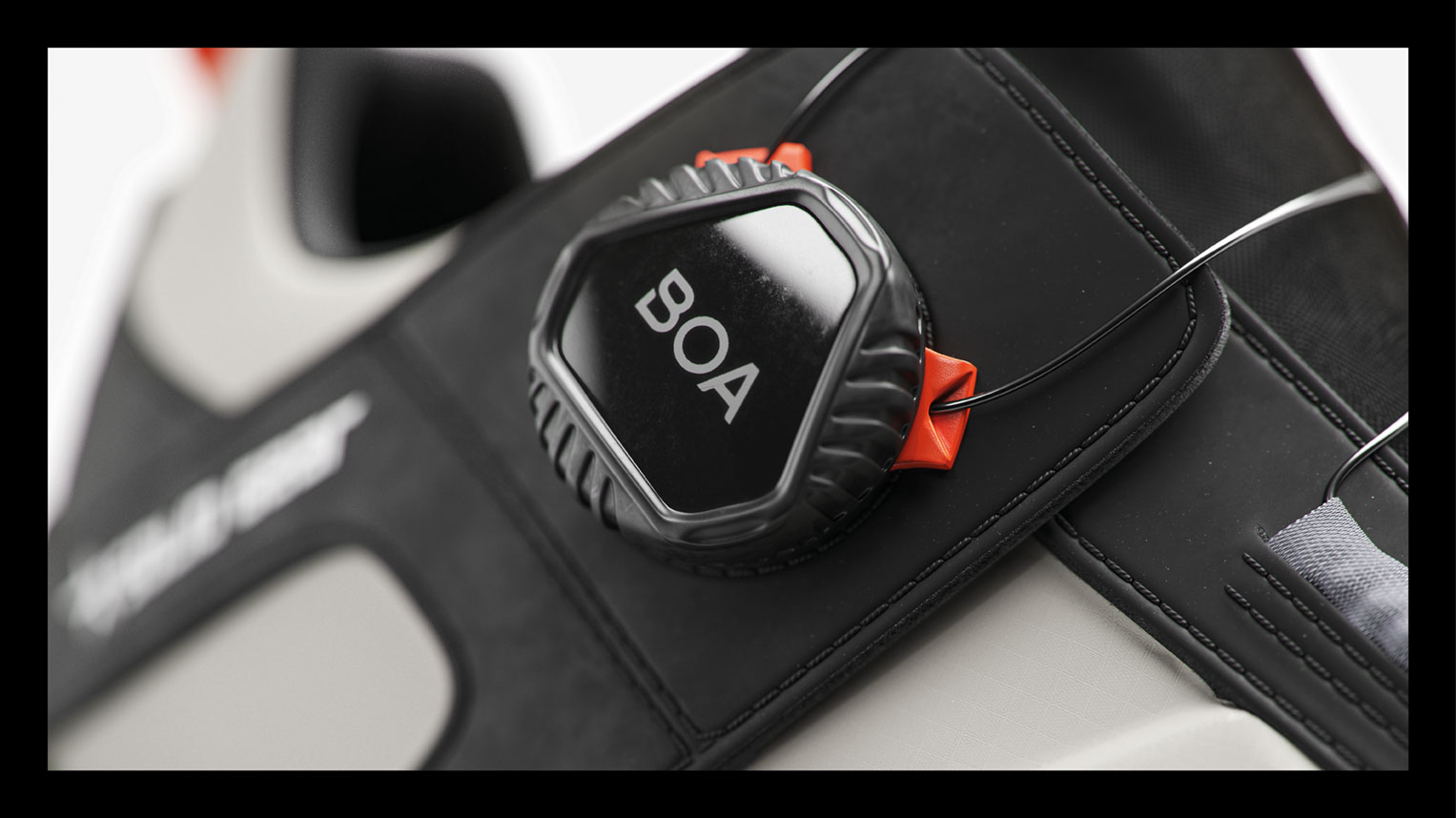 Neuheiten Frühjahr 2025.