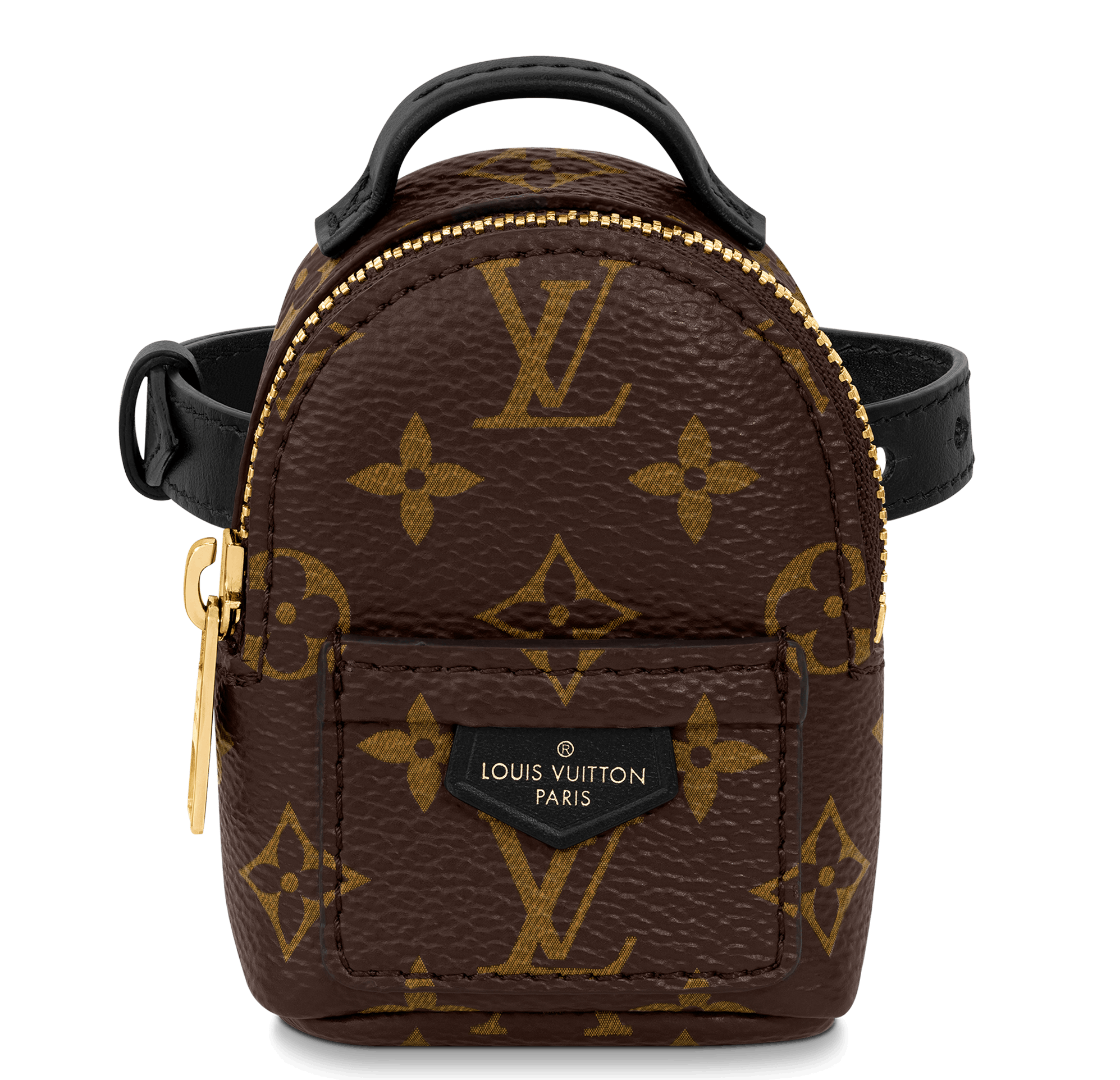 Bum Bag vs. Palm Springs Mini Backpack