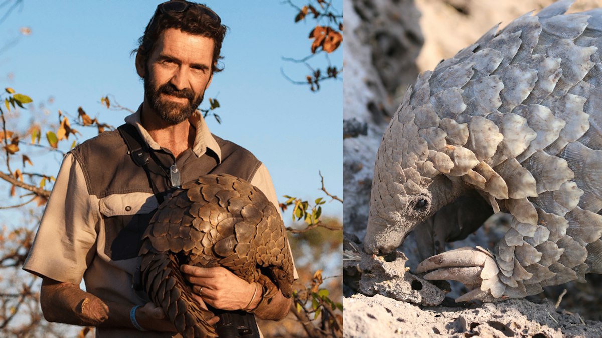 Why This Luxury Safari Camp Wants to Help Protect and Rehabilitate ...