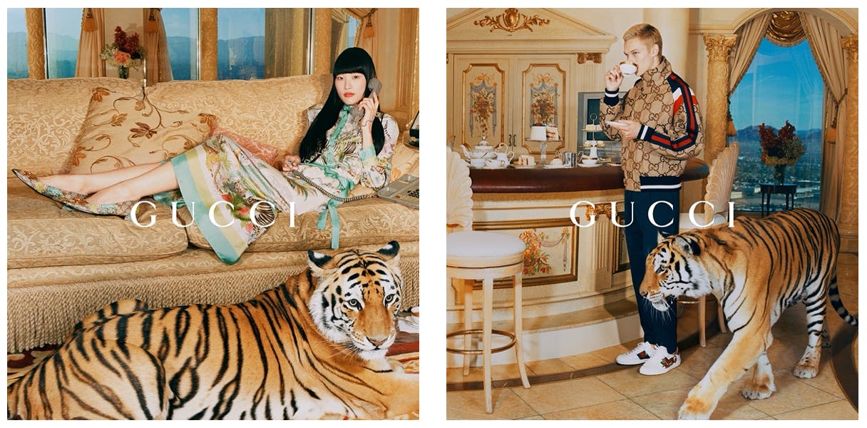 Gucci tiger print shoes sales