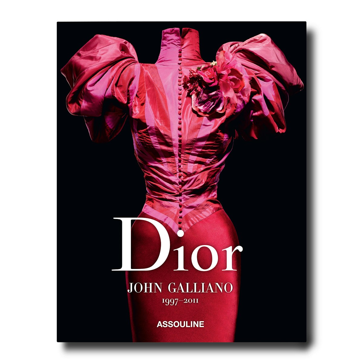 John Galliano for Dior  inspiring collection