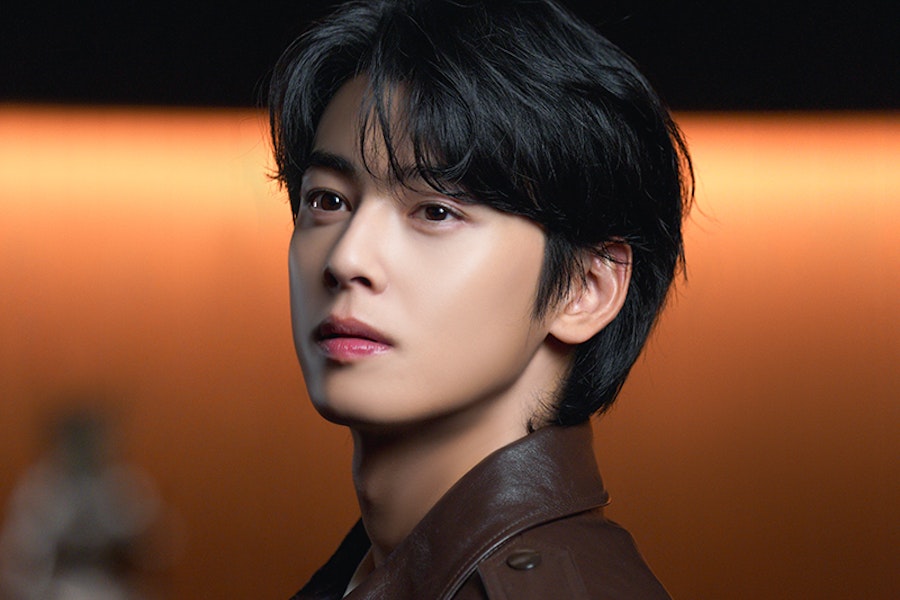 ASTRO's Cha Eunwoo will be Performing in Singapore this Coming April